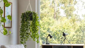 La Casa del Camino - Foto 5