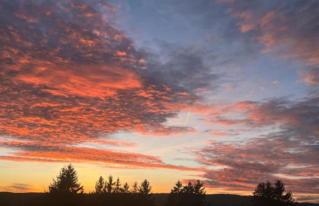 Spacious Apartment near Lake Constance with Covered Balcony - Foto 21