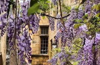 Gîte Talia - Foto 29