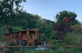 Songbird Lodge - Near brew pub/10 mins from Snowdon - Photo 3