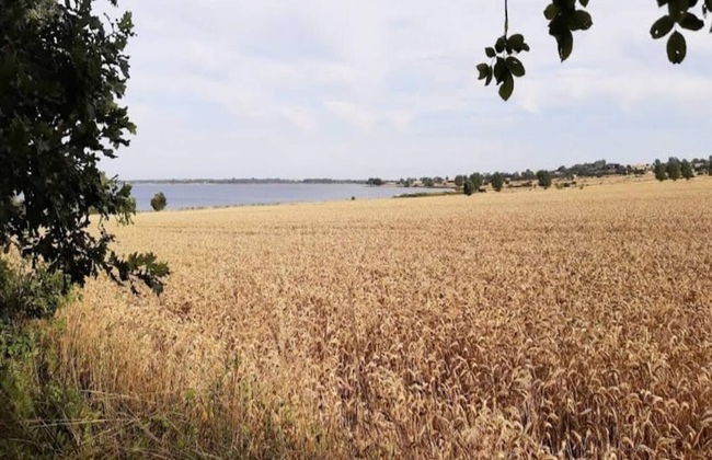 3 Person Holiday Home in Aeroskobing-by Traum - Foto 26