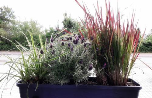 Ferienwohnung Wellenreiter - Foto 22