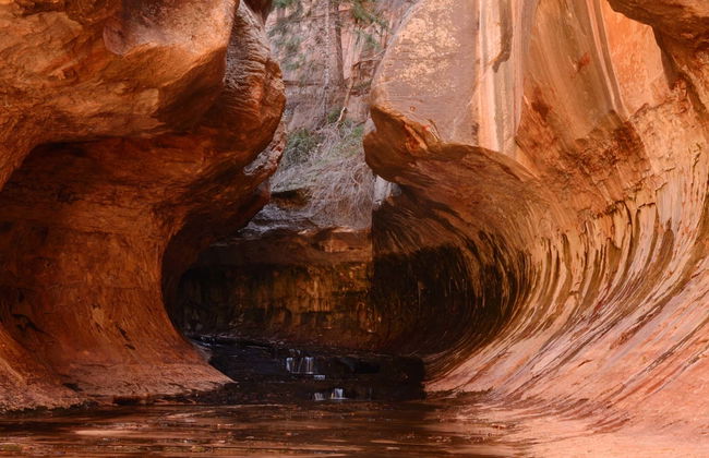 Zion Canyon & Valley of Fire Day Trip - Photo 1
