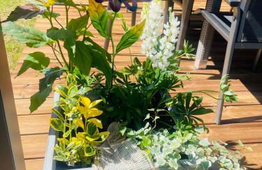 Maison Gite Chez Nounou sauna jacuzzi jardin arboré non clôturé - Photo 24