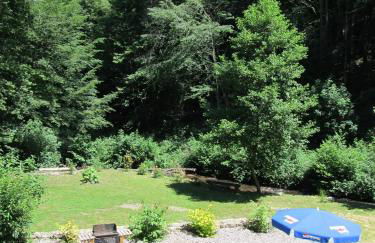 Gîte en bord d'étang et de rivière - Foto 8