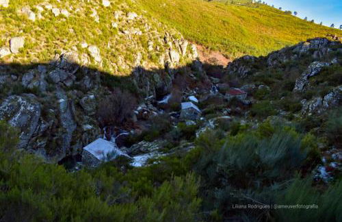 Casa Largo S Lourenço e Casa da Videira - Photo 24