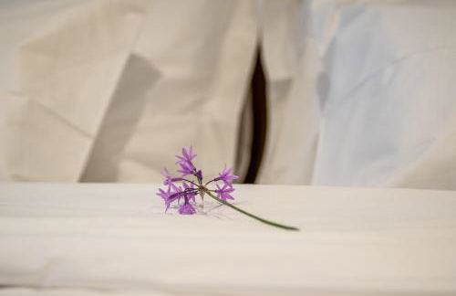 Porto de Gaia - Foto 15