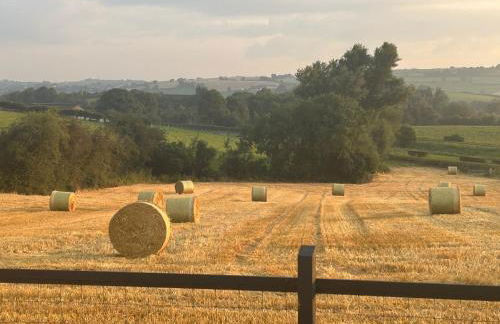 Hollowdene - Foto 11