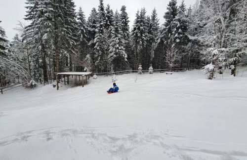 Starry Laz mountain house - Foto 34