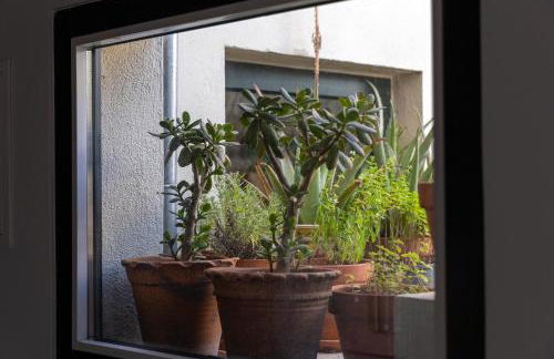 Casa da Judiaria Velha AP - Photo 18