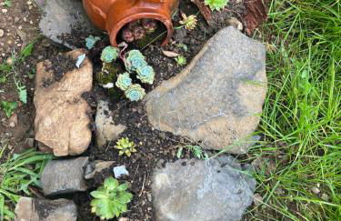 Apartamentos Rurales El Solsuco ( La Galería) - Foto 15