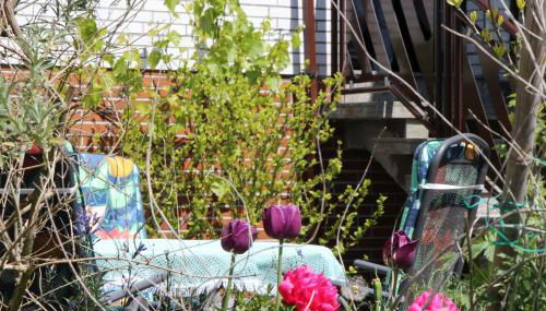 Ferienwohnung Hartmann Medebach - Foto 5