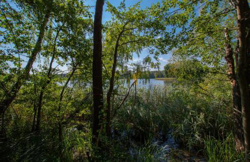 Całoroczny dom wakacyjny - Foto 38