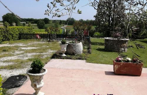 Agriturismo Nuvolino - Foto 70