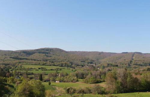 L'oriere des Bois - Foto 25