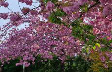 Maisionette FEWO Sternchen - Foto 17