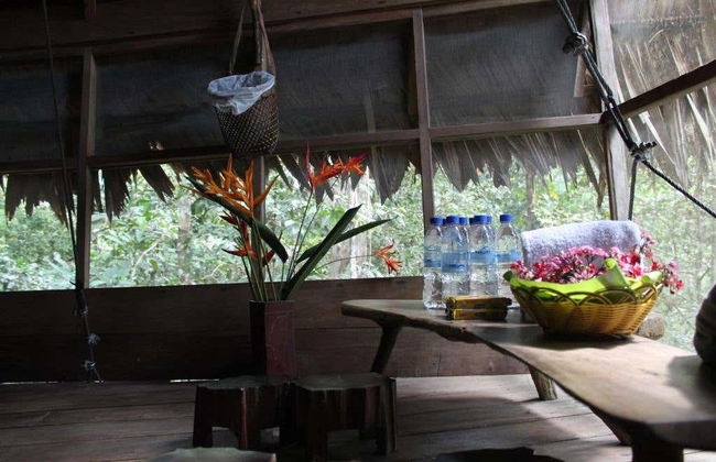 Notte nella Riserva Naturale Tanimboca - Foto 7