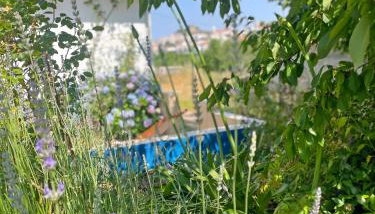 Ola Linda - Casa de Campo - - Foto 5, Garden