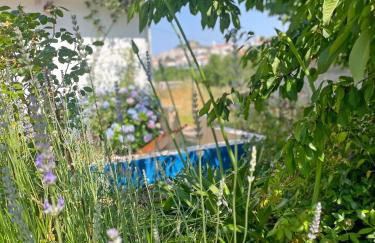 Ola Linda - Casa de Campo - - Foto 7