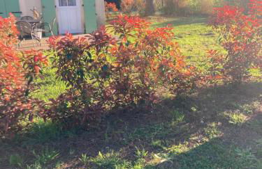 Maisonnette 43m2 piscine Gallargues le montueux - Foto 4