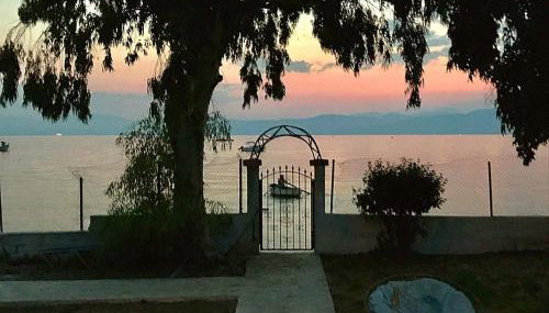 LeMaMi Seafront Bungalows - Foto 4, Garden