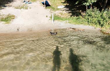 Cały dom na wyłączność - Ostoja Leśna Cisza - Foto 37