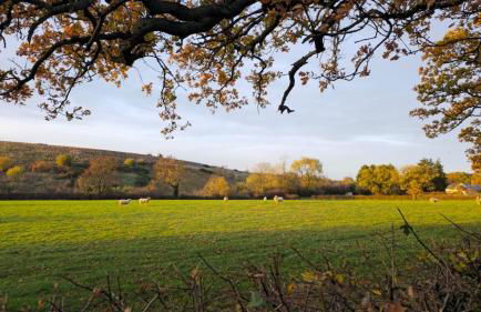 Lovett Haven Hot Tub near Bradgate Sleeps 6 - Foto 62