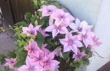 Holiday Home Mađerka - Foto 57