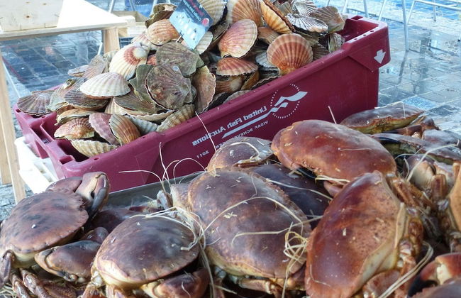 Breton House With Enclosed Garden - Foto 29