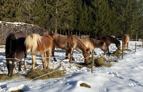 Landhaus Isolde - Photo 8