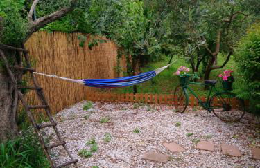 Sol's Place - Photo 3