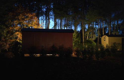 Forest Heath Shepherd's Huts - Foto 19