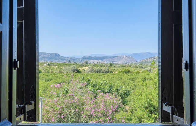 Orange Grove Villa - Foto 15