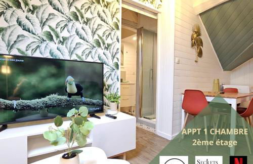 T2 Ctre ville Fibre proche Beauval - Photo 12