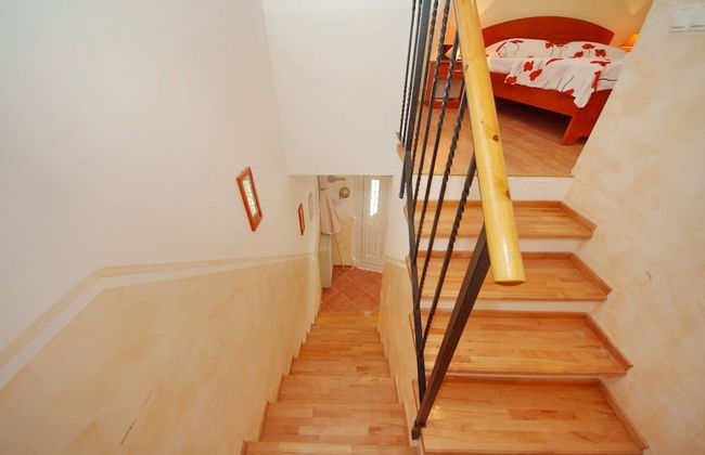 Dino - Gorgeous Garden - SA2 Jelsa - Photo 37