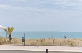 Windsurf Beach Front - Photo 26