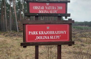 Calm House Krzynia - dom nad jeziorem do wynajęcia - Foto 21