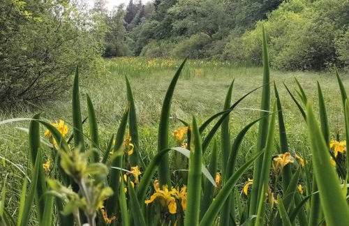 Gite les Baudy - group for 20 people - Foto 45