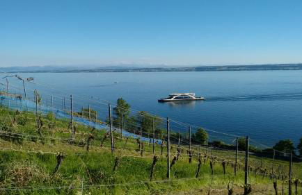 Ferienwohnung Alex - Foto 29