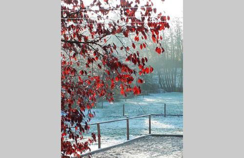 Ferienwohnung Lüttertal - Foto 18