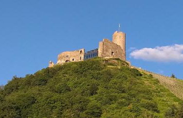 Mosel-Auszeit - Foto 28