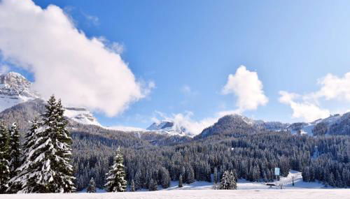 Carlo Magno Studio apartment - Foto 2