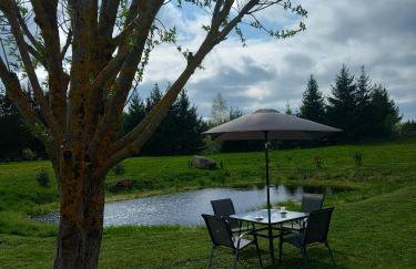 DOM w JESIONACH Brajniki - działka 1 HEKTAR - Photo 50