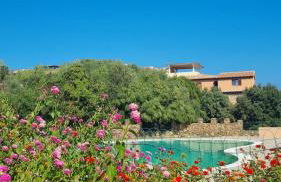 Wiki's Place - Foto 33