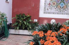 Pilatos Central Superior - Foto 42