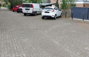 Alpakablick Bad Zwischenahn - Foto 13