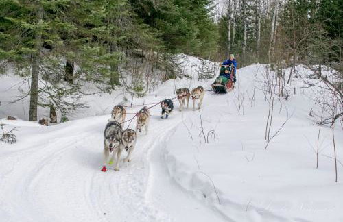 Incredible Guest Suite - Unique Off-Grid Lodging Experience with Sled Dogs in Minnesota - Foto 17