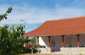 Apartmani Dejan - Photo 1