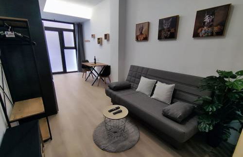 Apartamento Río Turia B - Foto 12