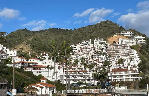 Catalina Island Getaway With 6 Seat Golf Cart Ac - Foto 26